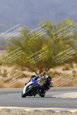 media/Apr-10-2022-SoCal Trackdays (Sun) [[f104b12566]]/Turn 5 Tree of Life (1040am)/